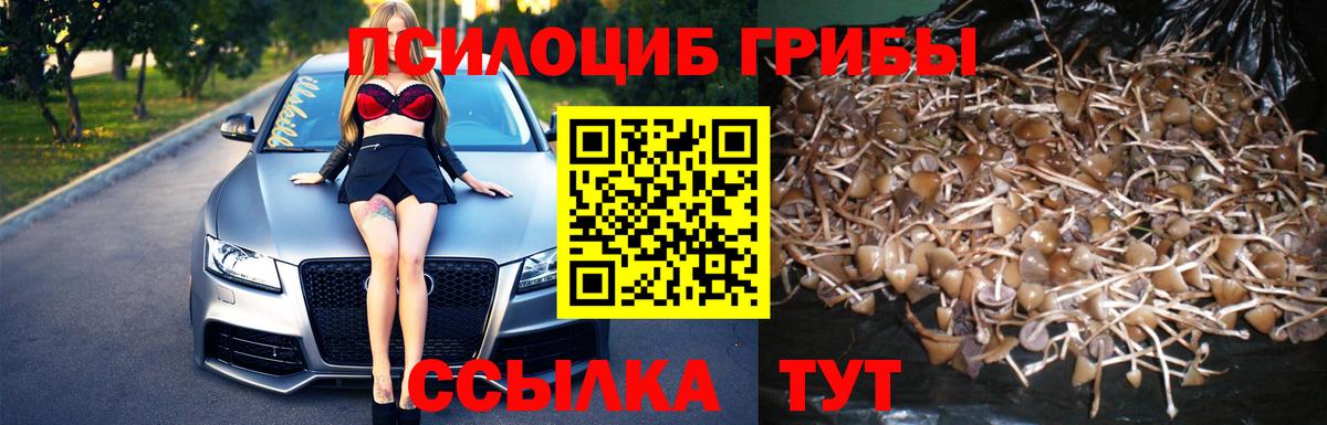 Псилоцибиновые грибы Cubensis  Псилоцибиновые грибы GOLDEN TEACHER  Вход с VPN  Лабинск 